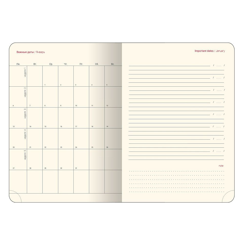 Ежедневник недатированный "Challenge", А5, 320 страниц, коричневый - 7