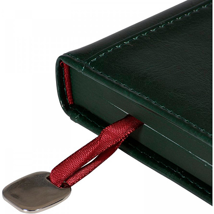 Ежедневник недатированный "Polo", А5, 320 страниц, зеленый - 5