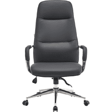 Кресло д/руководителя EVERPROF Vesta экокожа, черный, крестов. хром