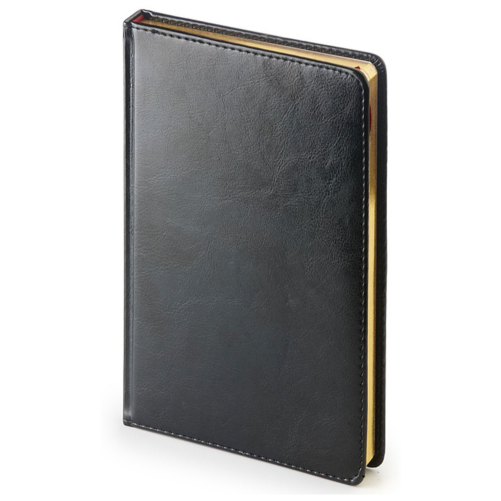 Ежедневник недатированный "Sidney Nebraska", A4, 272 страницы, черный