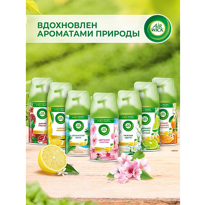 Освежитель воздуха Air Wick Fresh Matic Нежные цветы, сменные аэрозольные баллоны, 250 мл - 5