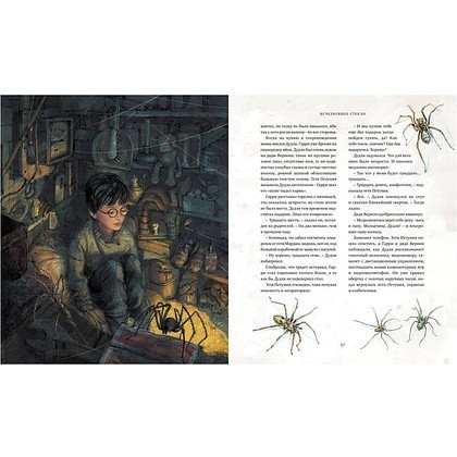 Книга "Гарри Поттер и Философский камень" с цветными иллюстрациями, Роулинг Дж.К - 2