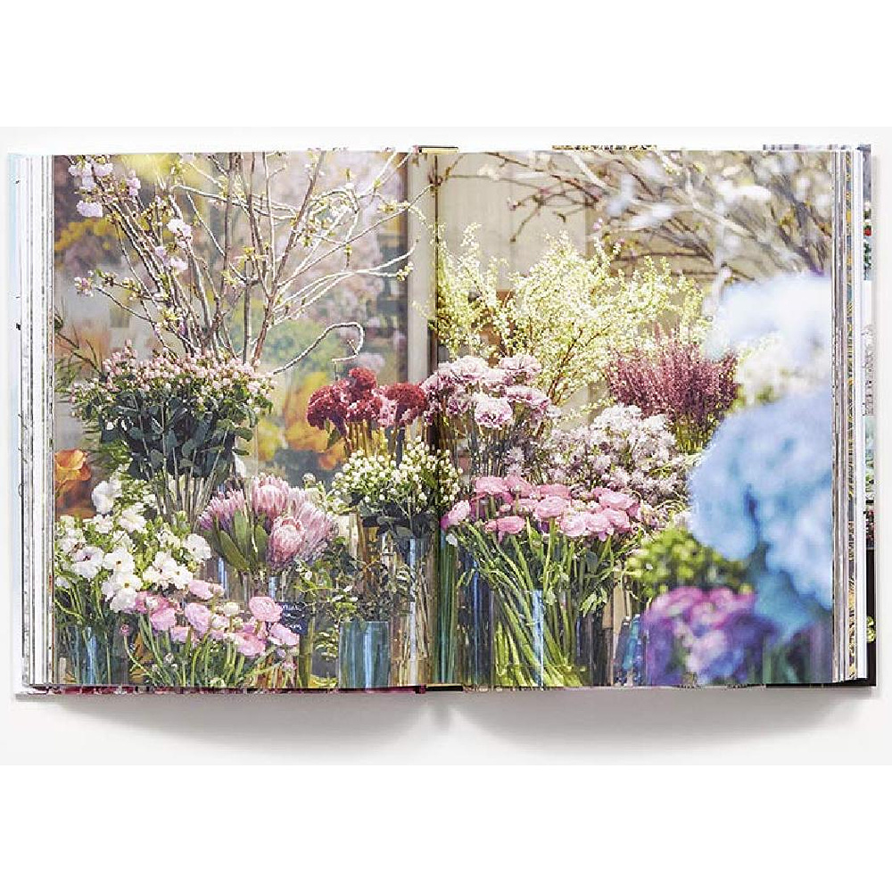 Книга на английском языке "New York in Bloom", Lane G. - 4