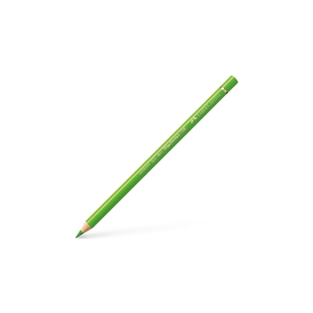 Карандаш цветной "Polychromos", 166 зеленый травяной