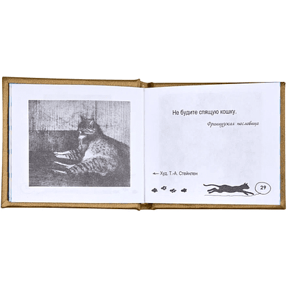 Книга-мини "Чудесная кошка, дарованная навеки", 67х59 мм, ассорти - 7