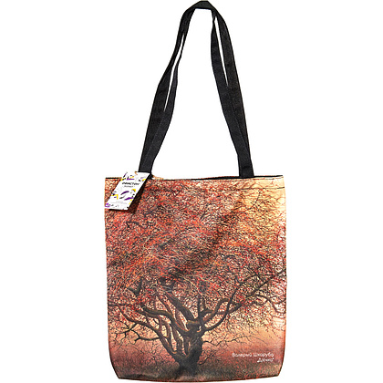 Сумка для покупок "Дичка", Валерий Шкарубо, разноцветный - 3