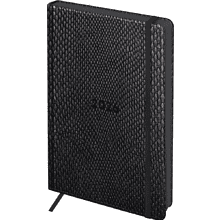 Ежедневник датированный "Python. Graphite" на 2026 год, А5, 352 страницы, графит, срез цветной