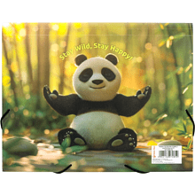 Папка на резинках "Panda", 15-34 мм., пластик