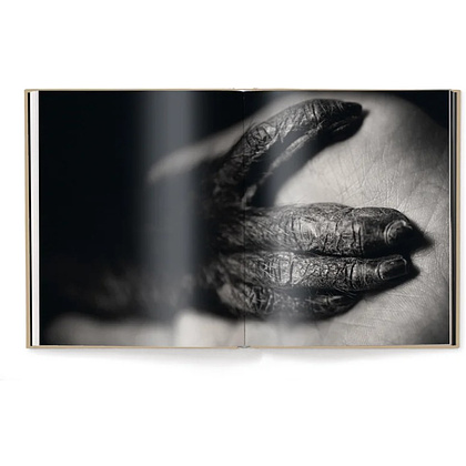 Книга на английском языке "Between Us. Animal Portraits" HB, Vincent Lagrange - 5