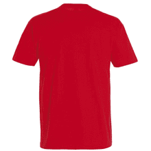 Фуфайка мужская "Imperial" 190, L, красный