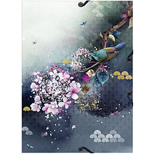 Набор папок на резинках "Sakura dream 2", 24x32 см, 2 шт