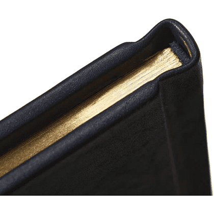 Книга "Язэп Драздовiч" (кожаный переплет), Надзея Усава - 4