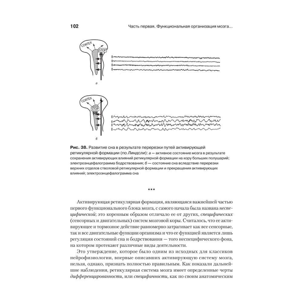 Книга "Основы нейропсихологии", Александр Лурия - 14