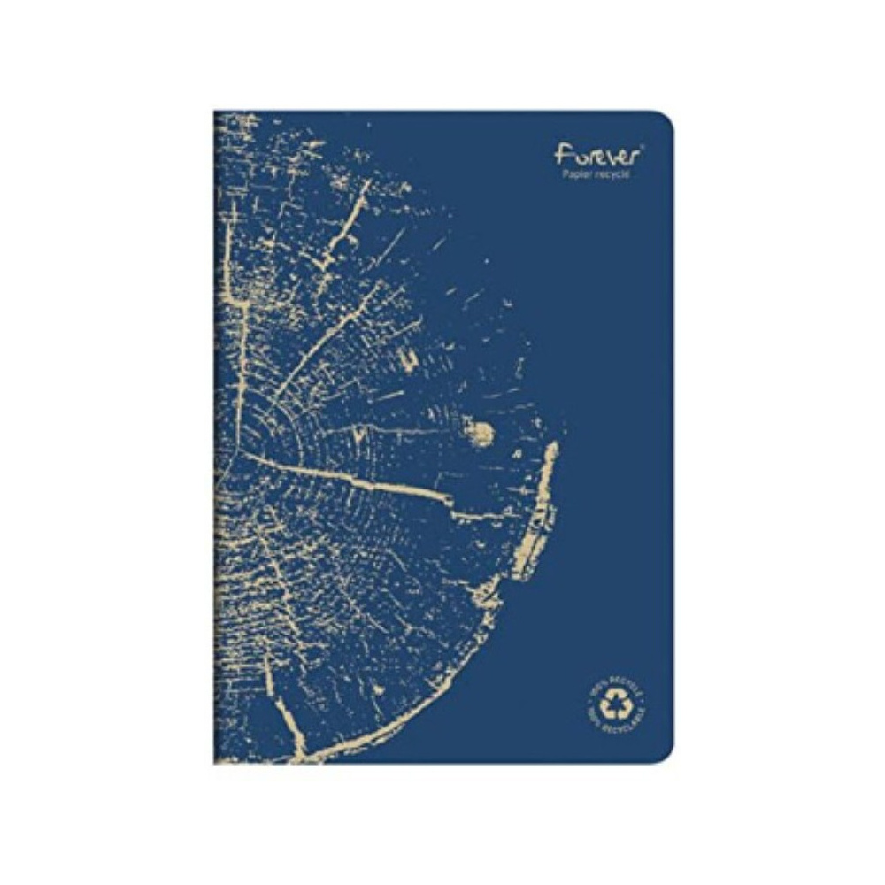 Блокнот Clairefontaine "Forever Premium", А4, 48 листов, клетка, ассорти - 6