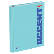 Тетрадь "Accent color"