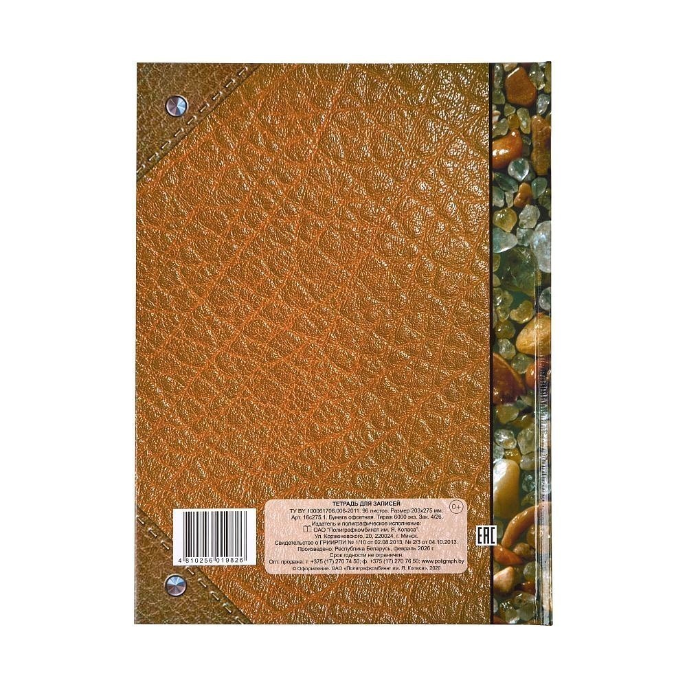 Книга канцелярская "Камешки", А4, 96 листов, клетка, коричневый - 5