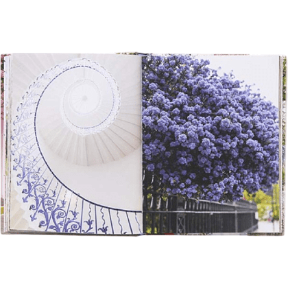 Книга на английском языке "London in Bloom", Lane G.  - 8