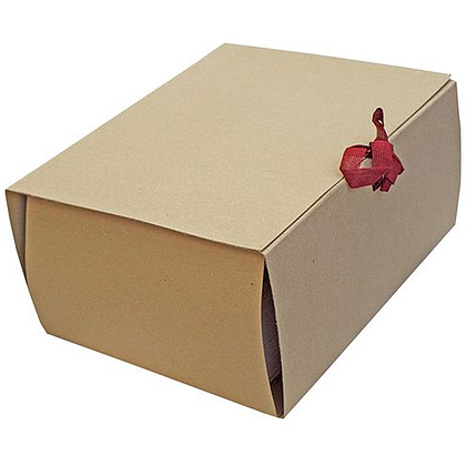 Папка-скоросшиватель с завязками, 120 мм, 4 завязки, крафт - 2