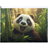 Папка-конверт на молнии "Panda", A4, разноцветный
