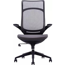 Кресло для руководителя EVERPROF Spirit, сетка, черный