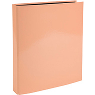 Папка на кольцах 