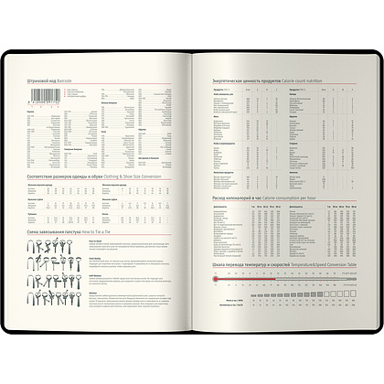 Ежедневник датированный "xGold" на 2024 год, А5, 368 страниц, бордовый - 4