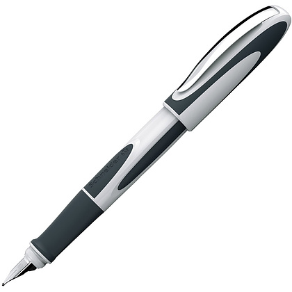 Ручка перьевая "Schneider Ray", M, белый, серый, патрон синий