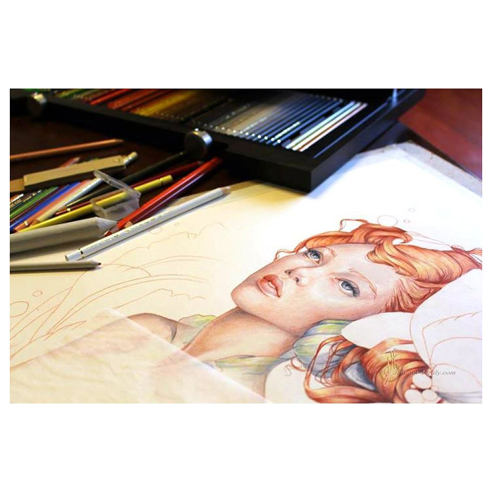 Карандаши цветные "Polychromos", 12 шт., в металлической упаковке - 3