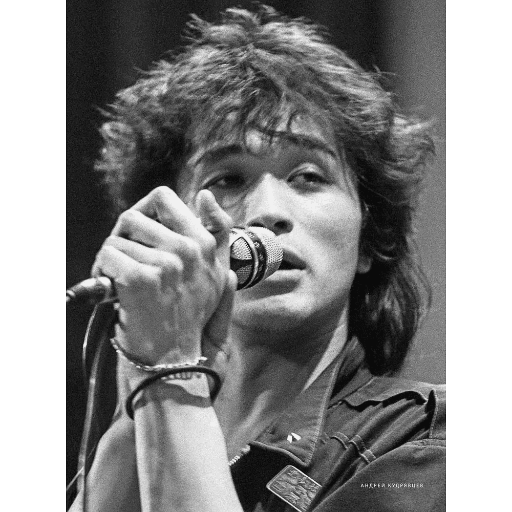 Книга "Виктор Цой. Смерть стоит того, чтобы жить, а любовь стоит того, чтобы ждать", Виталий Калгин - 5