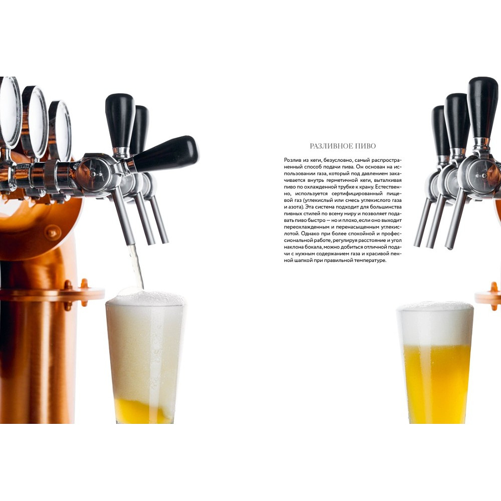 Книга "Маленькая книга гурмана. Пиво", Джованни Руджиери, Пьетро Фонтана - 11