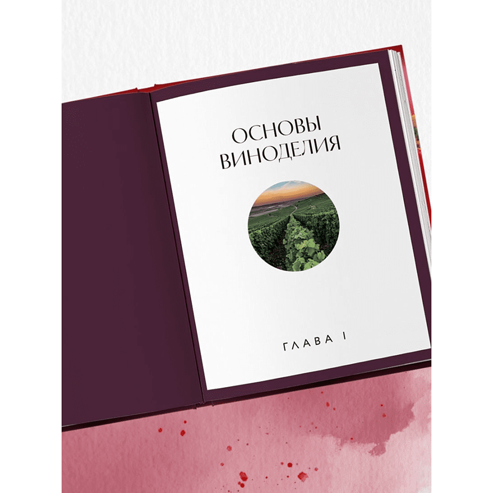 Книга "Вино к еде. Искусство идеального сочетания", Елена Горбачева - 7