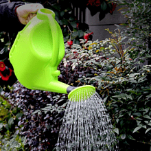 Лейка Deli GS EDL581005B, пластмассовая, 5 л, зеленая