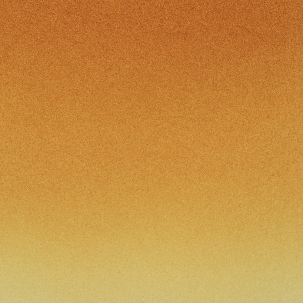 Краски акварельные "Белые ночи", 244 индийская золотистая, 10мл., туба - 3