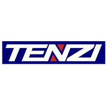 TENZI