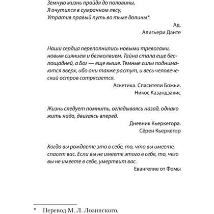 Книга "Перевал в середине пути. Как преодолеть кризис среднего возраста (#экопокет)", Джеймс Холлис - 4
