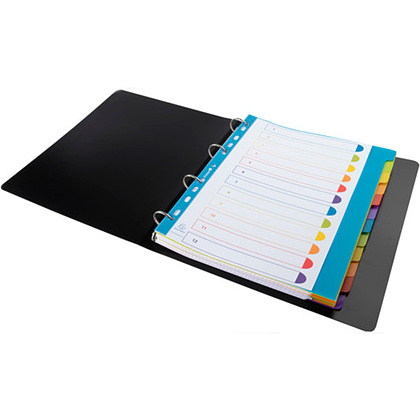 Разделитель на 12 делений, A4, ассорти - 4