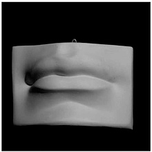 Гипсовая модель "Губы Давида"