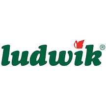 Ludwik