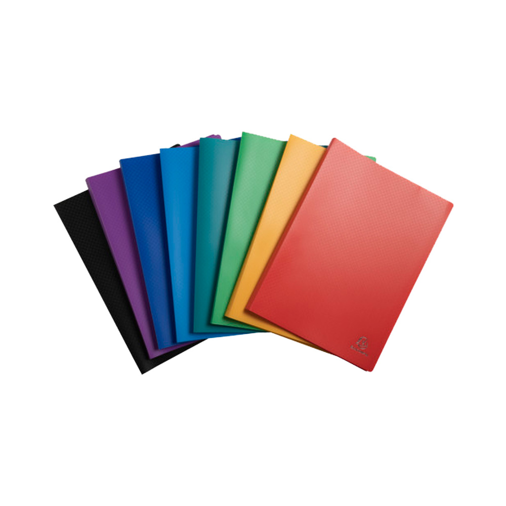 Папка с файлами "Exacompta", 100 карманов, ассорти