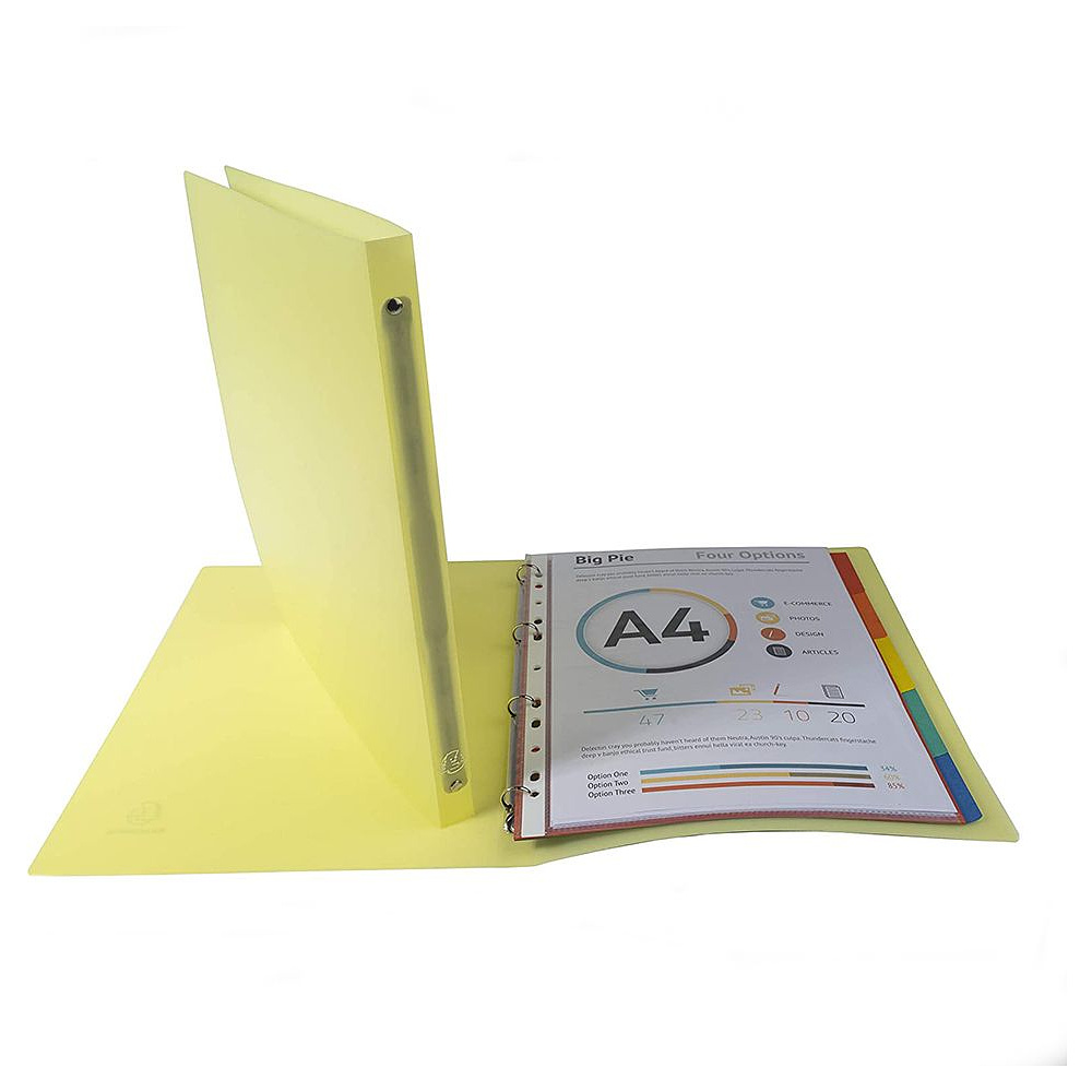 Папка на кольцах "Chromaline Pastel", 4 кольца, 20 мм, ассорти - 2