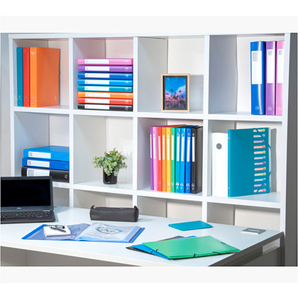 Папка c файлами "Exacompta", 40 карманов, ассорти - 14