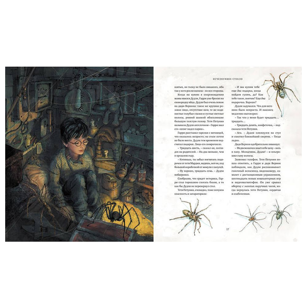 Книга "Гарри Поттер и Философский камень" с цветными иллюстрациями, Роулинг Дж.К - 2