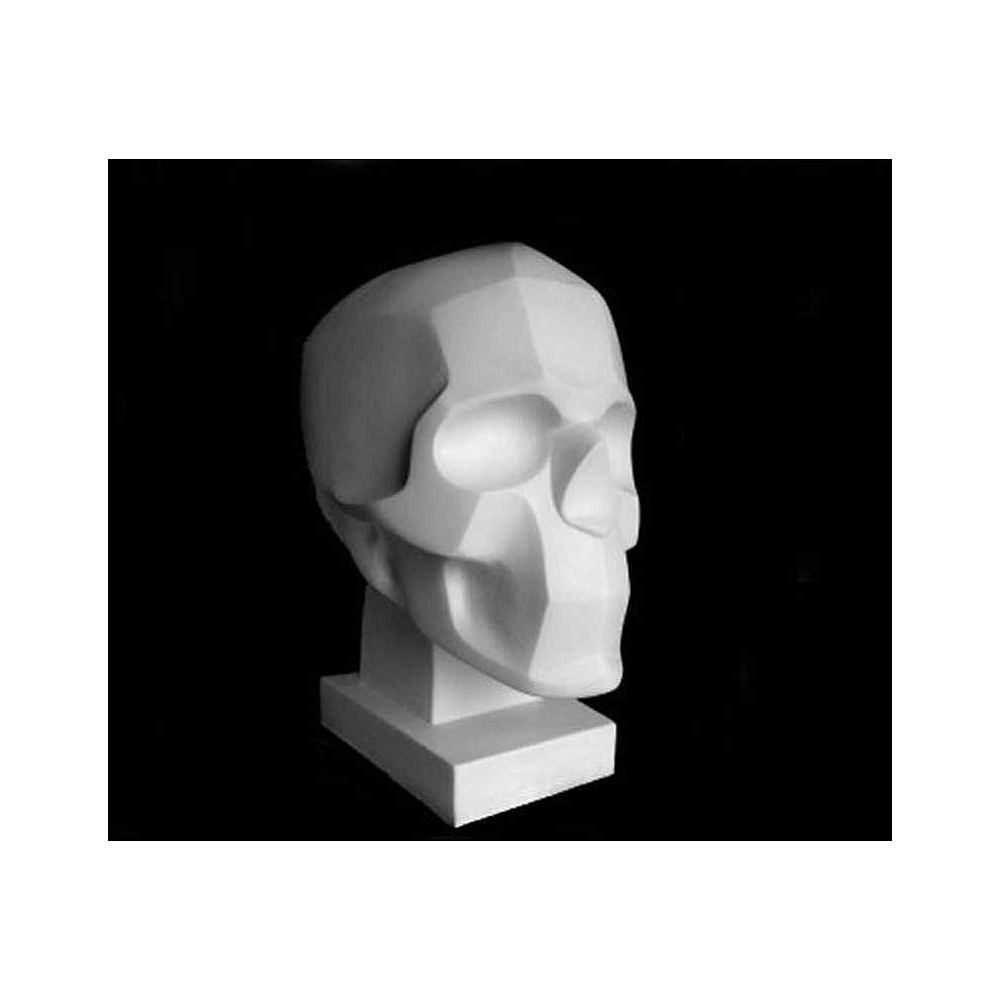 Гипсовая модель "Обрубовка черепа по Браммесу"