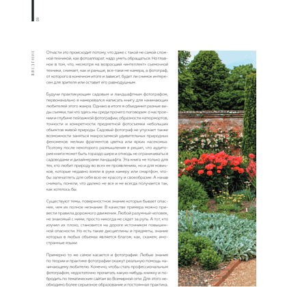 Книга "Фотография. Руководство по съемке природных сюжетов", Андрей Лысиков - 5