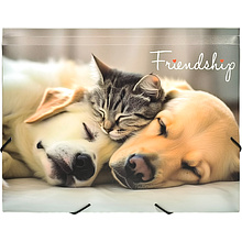 Папка на резинках "Friendship", пластик, 15 мм
