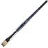 Кисть для рисования "Pinax Artists HI-TECH", синтетика, плоская, короткая, №10