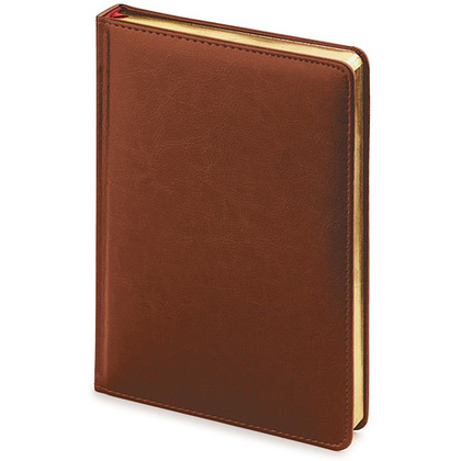 Ежедневник недатированный "Sidney Nebraska", A5+, 272 страницы, коричневый