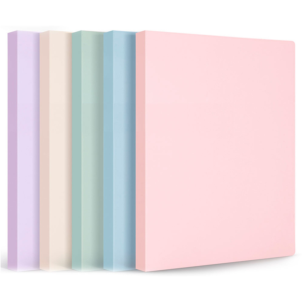 Папка с файлами "Deli Pastel", 80 карманов, ассорти