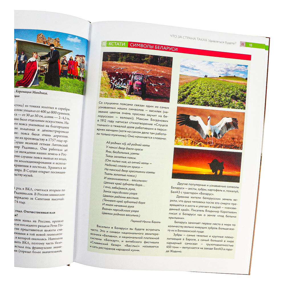 Книга "Республика Беларусь. Путеводитель для друзей", Плескачевская И. - 4