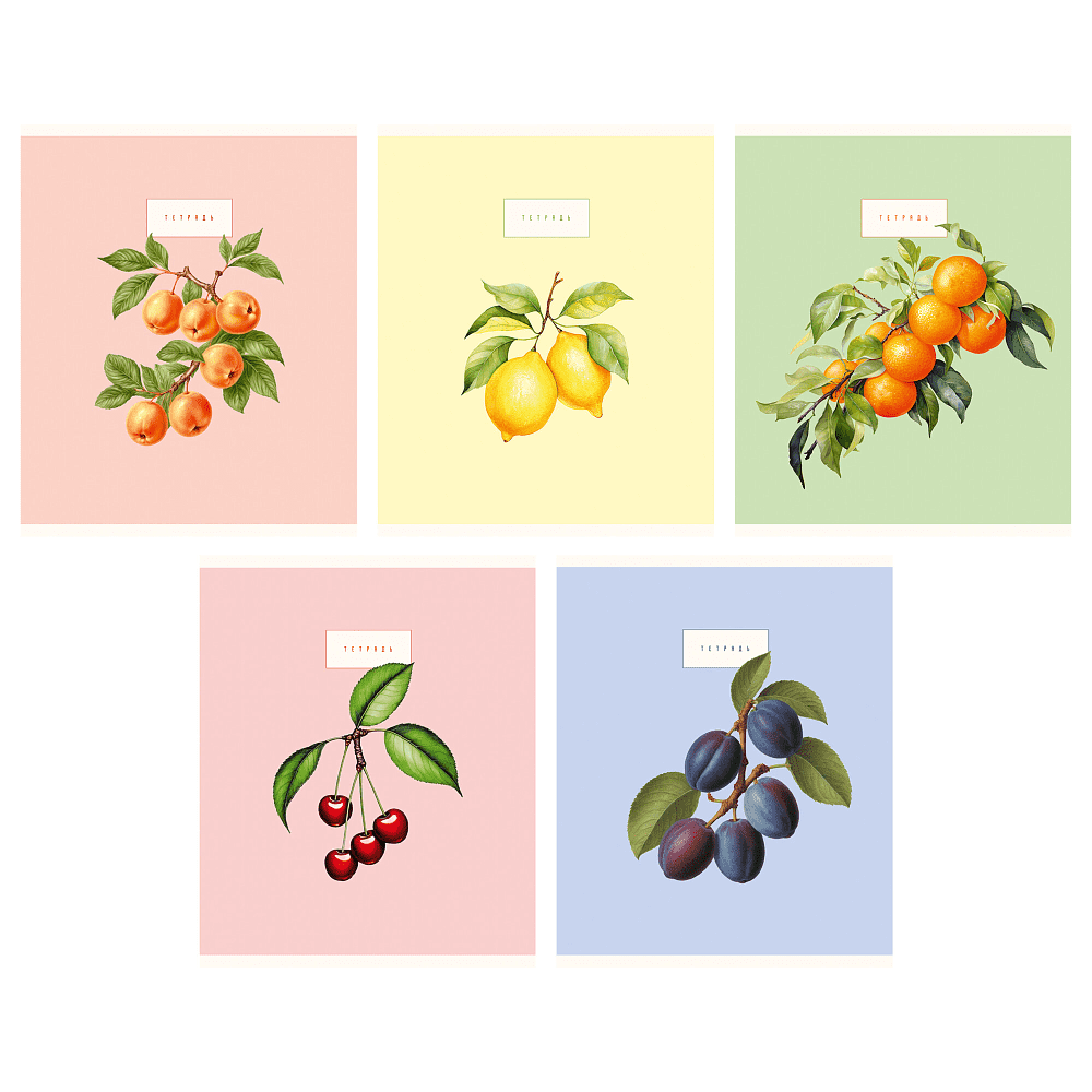 Тетрадь "Сочные фрукты и ягоды", А5, 48 листов, клетка, ассорти